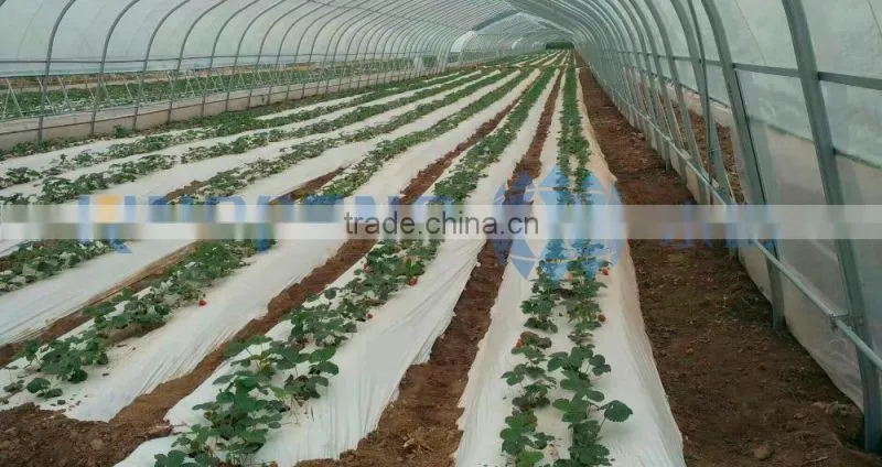 Multi Span Film Greenhouse For Agriculture