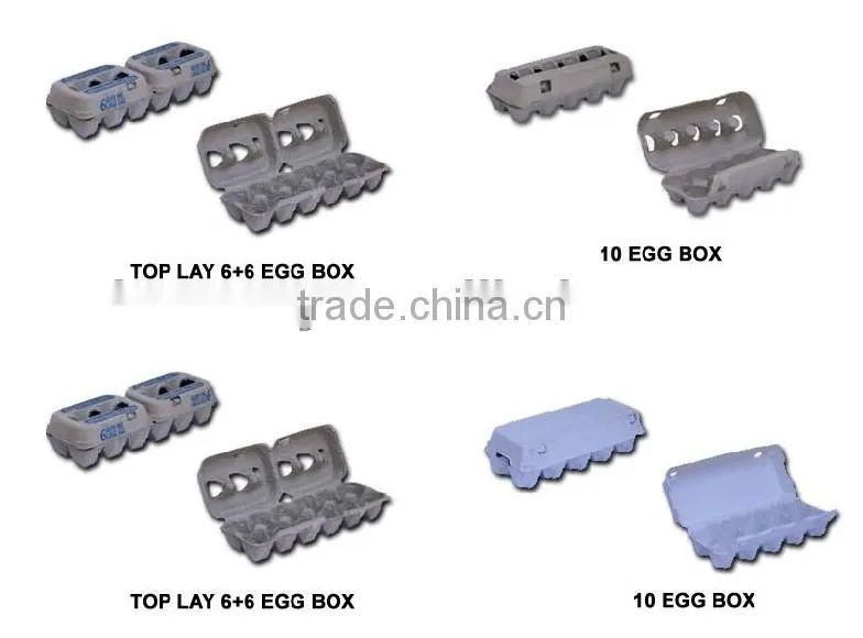small paper pulp molding machine