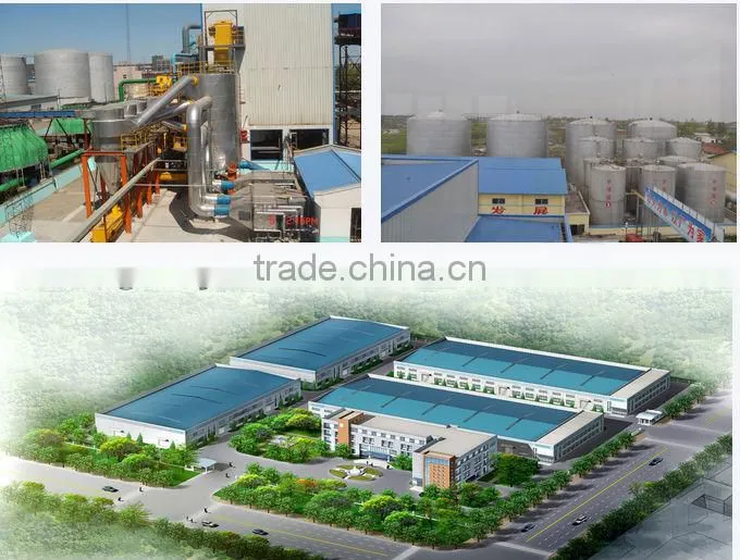 High quality automatic Refining maize germ oil line with factory price