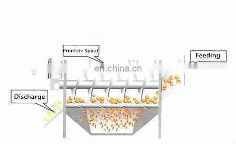 onion/potato/ginger/carrot washing and peeling ,cutting machine,vegetable processing machine