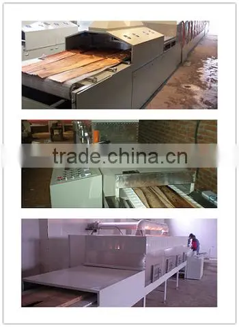 Hot sale Microwave Hot Air Tunnel Dryer