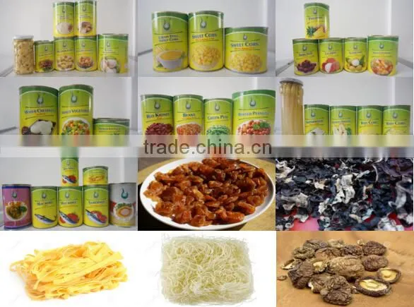 China New Cultivated Canned Bailing Mushroom Whole
