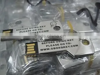 Metal Key Shaped Usb Stick Laser 2GB