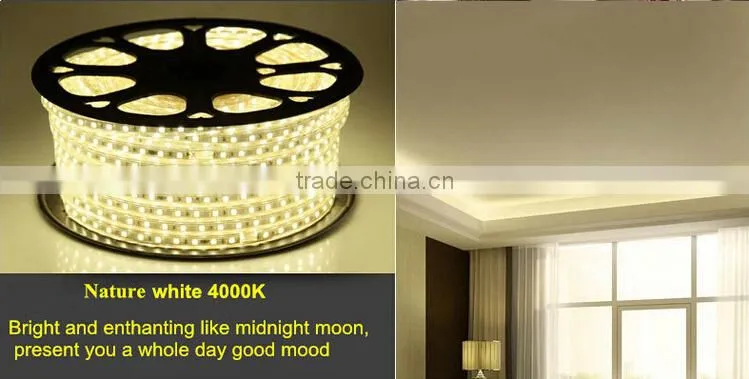 festalight 2016 christmas decoration chinese manufacturer new products high voltage SMD5050 SMD3528 led strip light