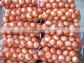 diced onion