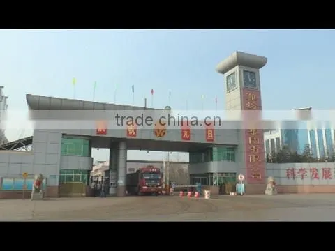 Weifang Special Steel Group Co., Ltd. company overview - view 1