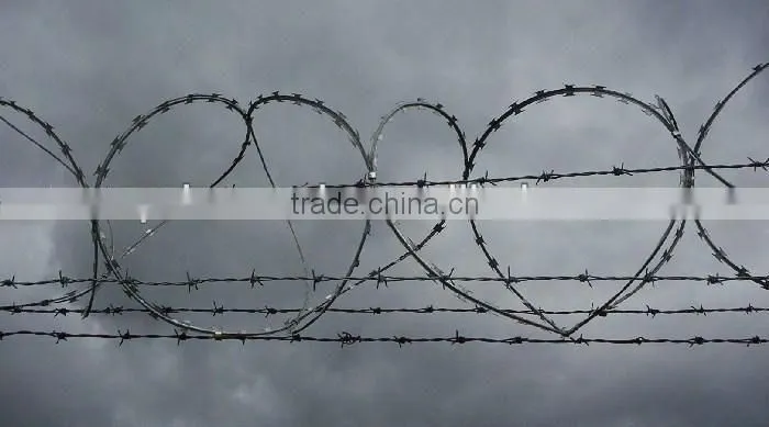 All kinds of competitive price razor barbed wire