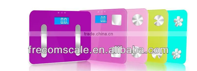 body fat hydration muscle bone scale bone scale