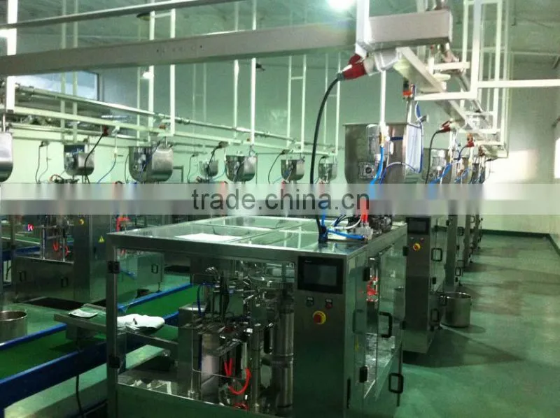 Automatic bag-given packing machine