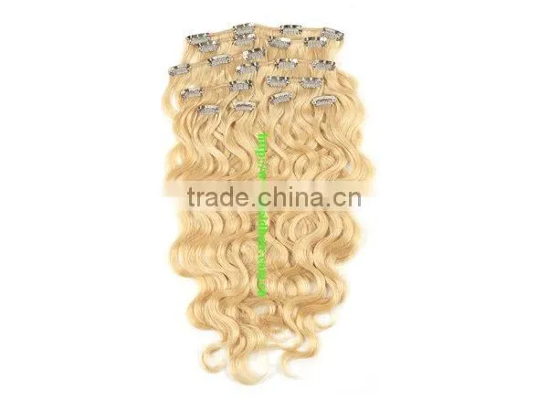 Clips In Hair / Clips On Human Hair Extensions / Clip-in