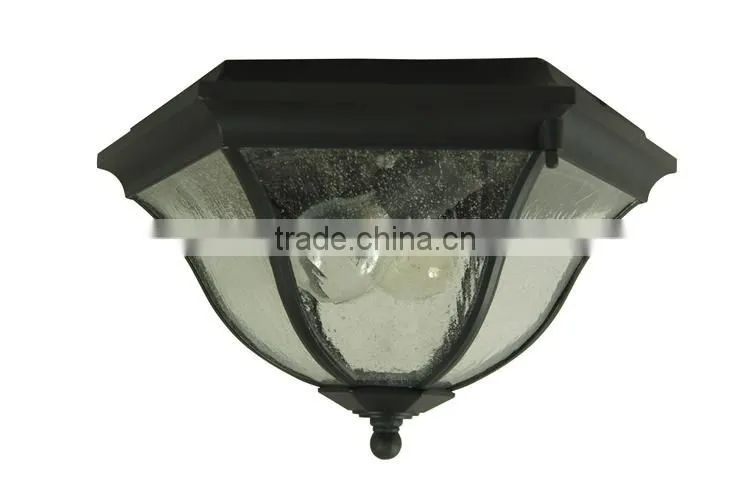2015 Ceiling is special pendant lighting (5615)