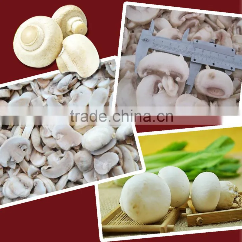 Frozen Agaricus bisporus IQF Agaricus bisporus