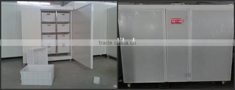 Automatic hydroponic barley grass fodder planting Machine for animal,livestock,cattle,sheep