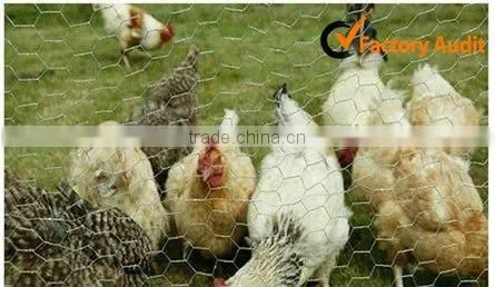 hexagonal wire mesh