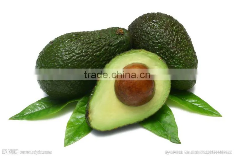 kieserite - Magnesium sulphate fertilizer for Crocodile plow MgO23%MIN China