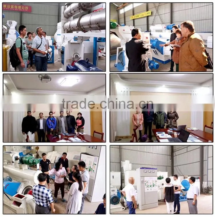 CE ISO SGS wood pellet machine & wood pellet mill/wood pellet making machine