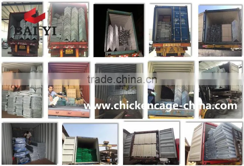 Quail Egg Cage For Quail Egg Production