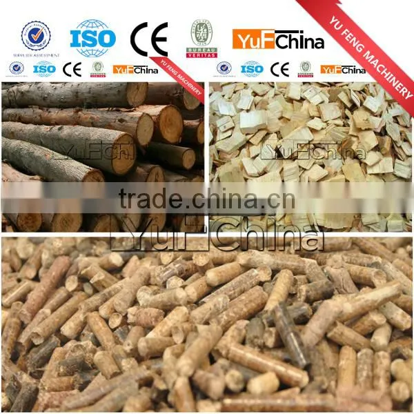 Famous brand biomass pellet mill for southeast Asia market