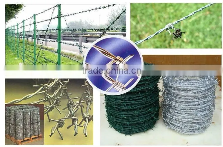High Quality and Low Price Electro&Hot Dipped Galvanized Barbed Spiral Wire Iowa(Joint Venture Manufacturer)