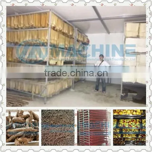 2016 Professional Fruit Drying Equipment
