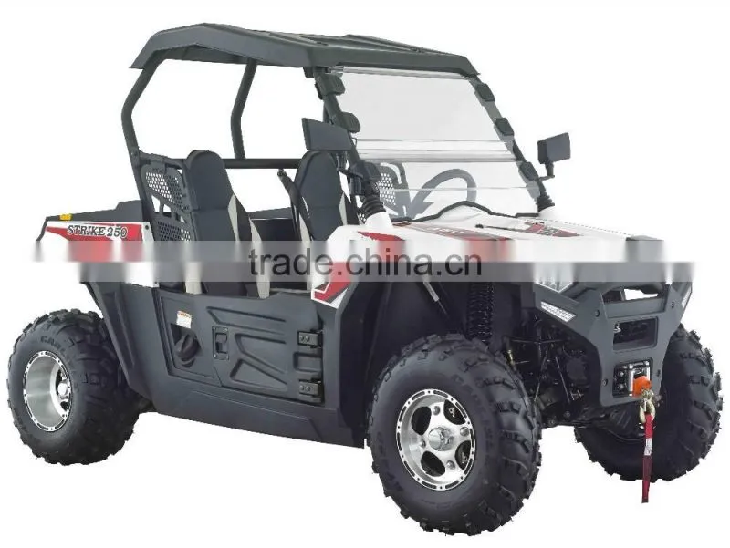 Agricultural UTV 250cc/Utility Terrain Vehicle EEC/EPA 250cc/ EFI Automatic drive truck ATV(TKU250E-2A)