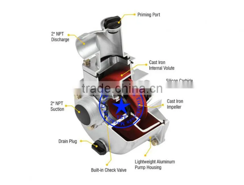 2.5hp Water Pump Driven by 4-Stroke Gasoline Engine
