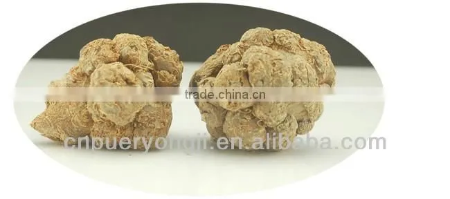 Factory Supply Dietary Supplyment 100% Natural panax Notoginseng P.E. / Wild Radix Notoginseng Extract
