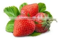Frozen Dessert Maker Fruit Dessert Maker Frozen Sorbet Maker
