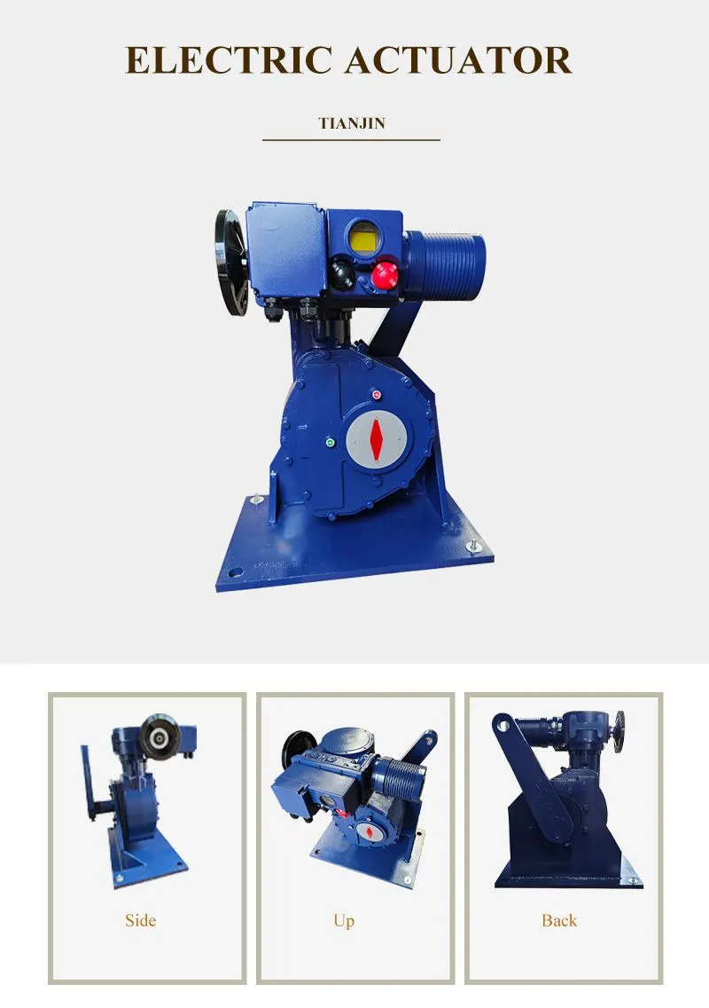 B+RS800_02.jpg