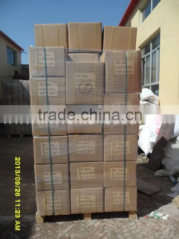New Plastic Insulation Fixing Nails with plastic core,steel nail (factory)