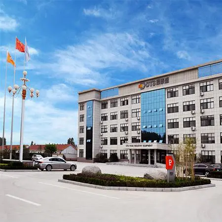 Shandong Dingtaisheng Machinery Technology Co., Ltd. company overview - view 1
