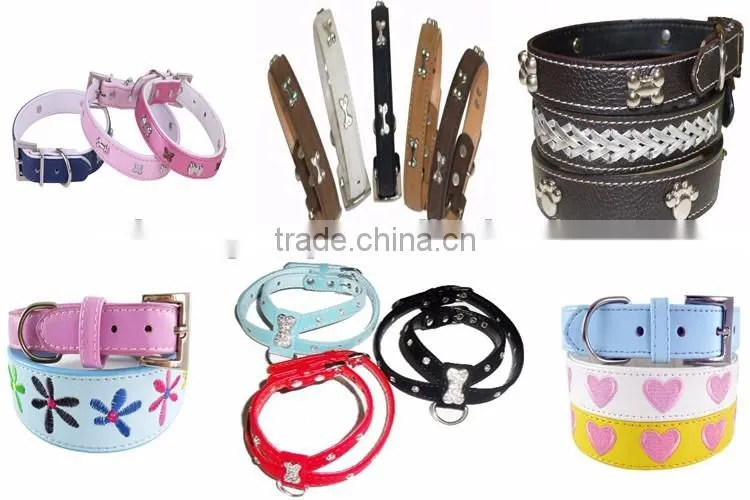 Fashion SImple Design Adorable dog training collar