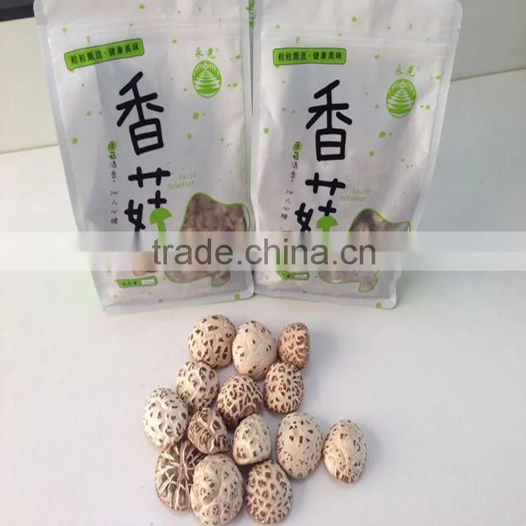 Dried White Flower Mushroom Export Products of Singapore