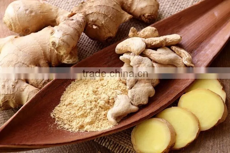 Nature Pure Ginger Powder Bulk Producers