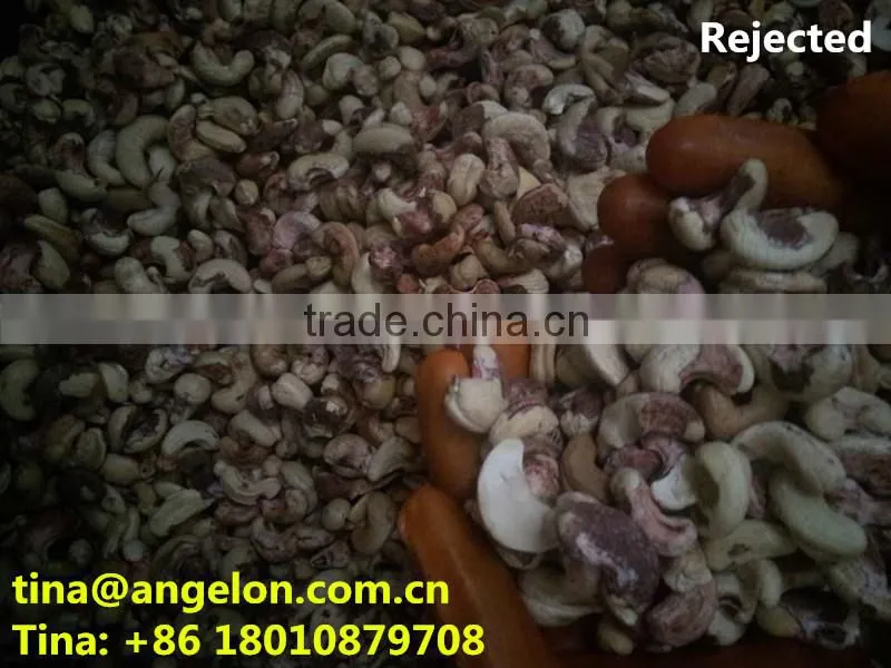 Cashew Colour Sorter Cashew Processing Machines Cashew Colour Sorting Machines