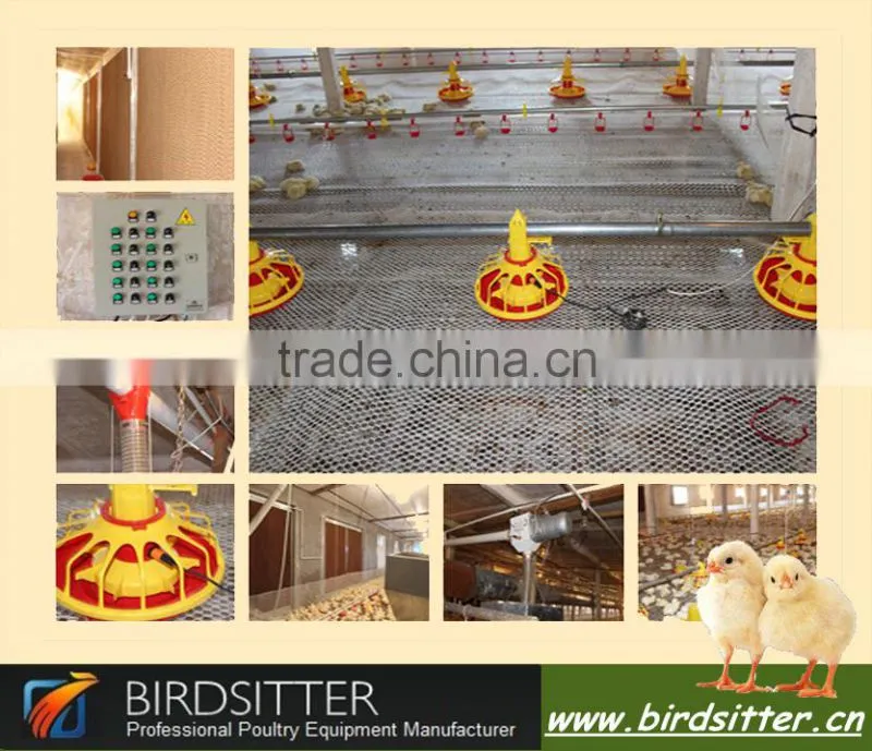 ISO9001 quality assuranced plan house house automatic poultry equipment