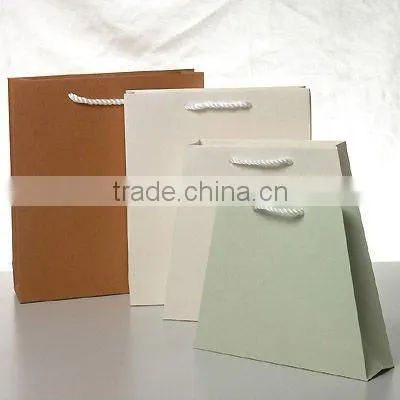 Pretty Paper Carry Bag