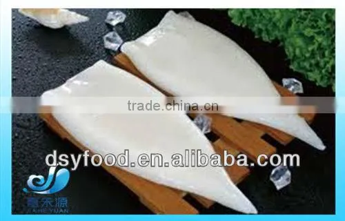 frozen fresh-looking squid ring