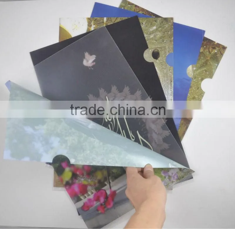 2015 New design Plastic file cover
