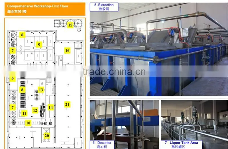 edible gelatin sheets