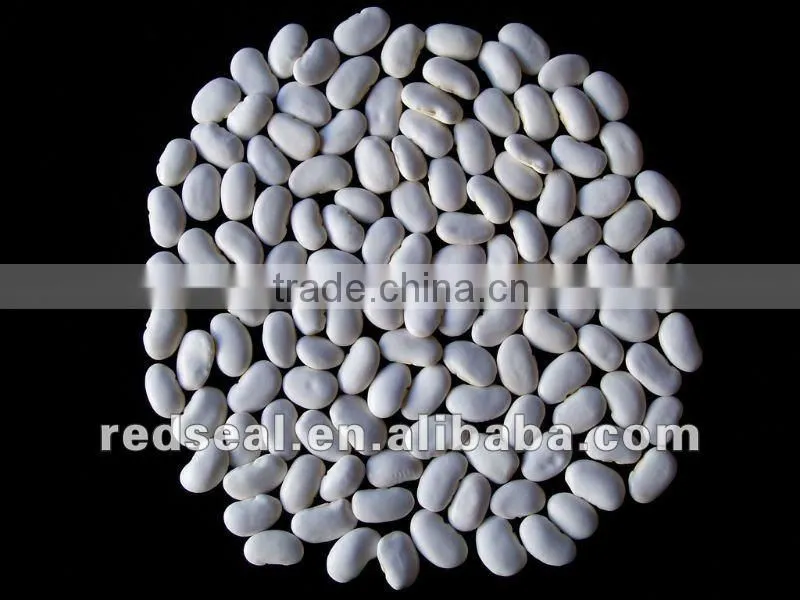 medium white kidney beans