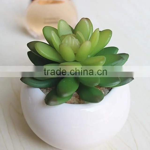 Home Decoration Use NEW Mini Novel Ceramic Porcelain Bonsai Grass Doll Hair Plant Head Planter Gift