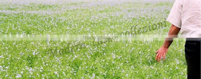china textile fabric / linen fabric for shirt / bulk linen fabric