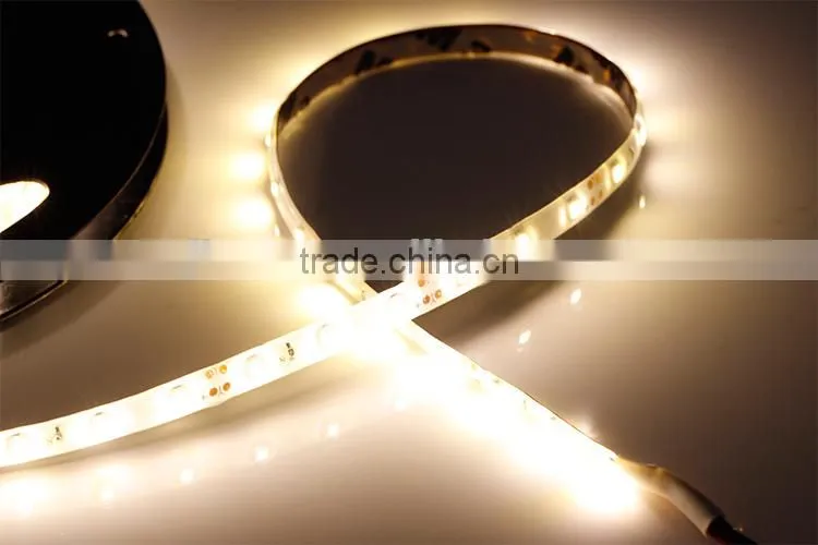 IP65 Latest Outdoor LED Decoration 1210 SMD Waterproof Flexible Tube Strip Lighting LED Strips Lights