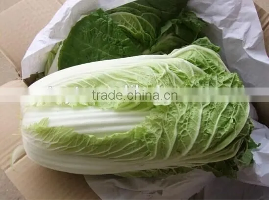Fresh long Chinese