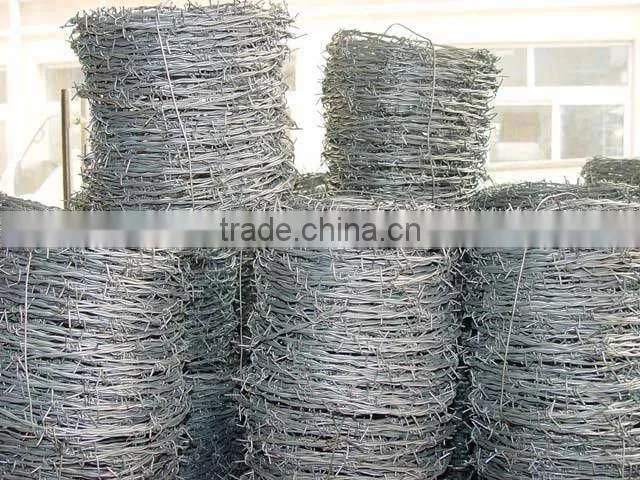 Galvanized 16*16 & 16*18 barbed wire fence(Anping)