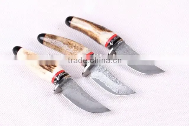 OEM Wild Antlers Deer Horn Damascus small collection knife