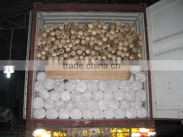 bamboo cane