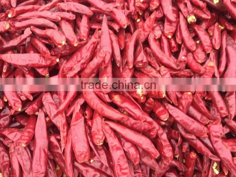 chilli