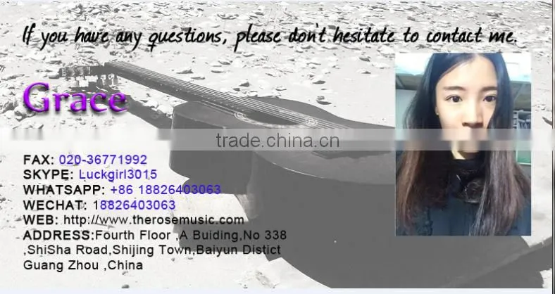 DIY violin kit blackwood made in china manufacturer Deviser V20